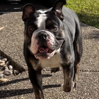 Photo of Max