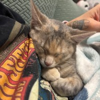 Photo of Nora