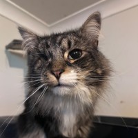 Photo of Asher 