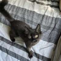 Photo of Benji & Bonnie 🐈🌷