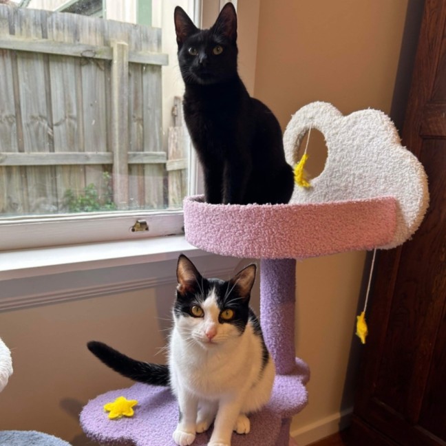 Photo of Eddie & Akira