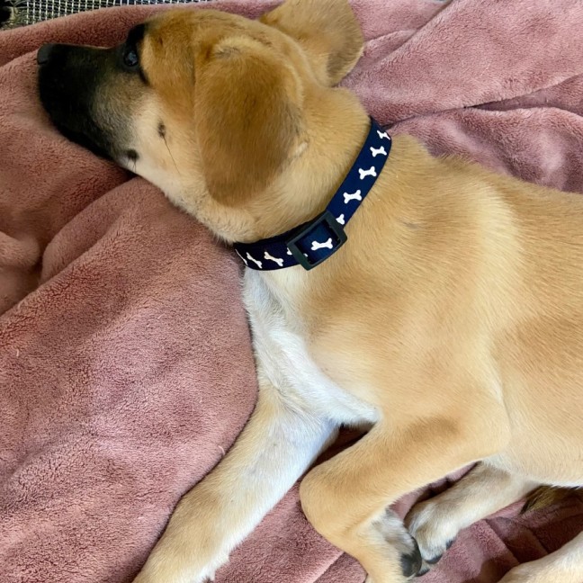 Photo of Kenny