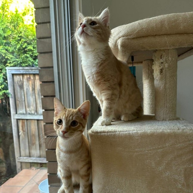 Photo of Fred & George