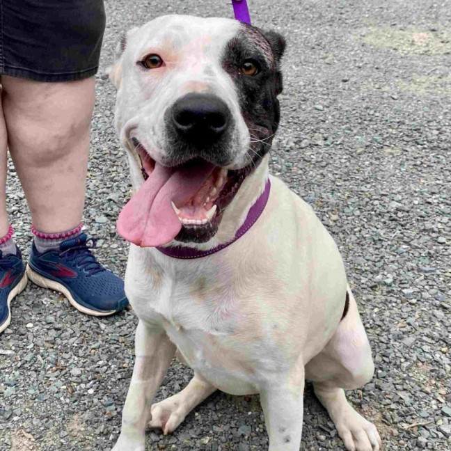 Photo of Nerida (Aka Neri)