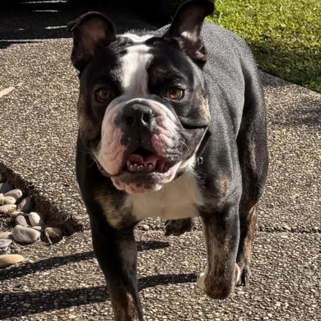 Photo of Max