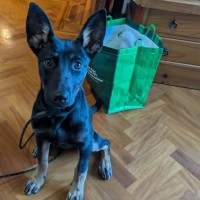 Photo of Echo