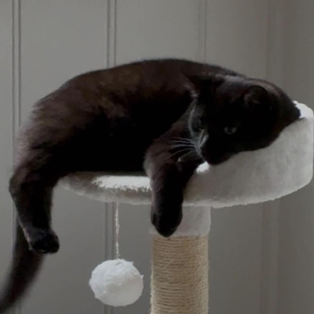 Photo of Ernie And Binx