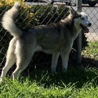 Photo of Pippa