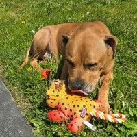 Photo of Jasper