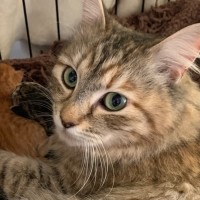 Photo of Myla 💕💕😽