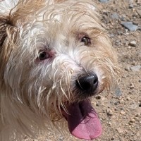 Photo of Daph