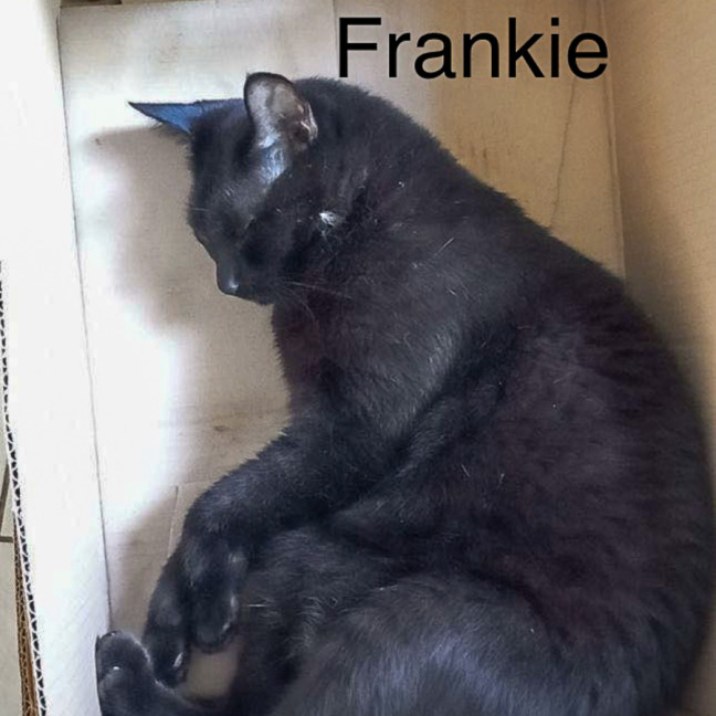 Photo of Cas & Frankie