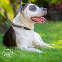 Photo of Pebbles & Mellow