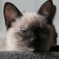 Photo of Quinnie