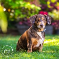 Photo of Pebbles & Mellow