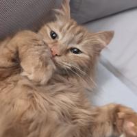 Photo of River & Genevieve