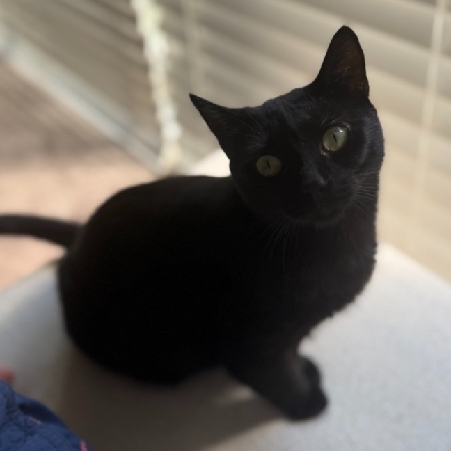 Photo of Alice