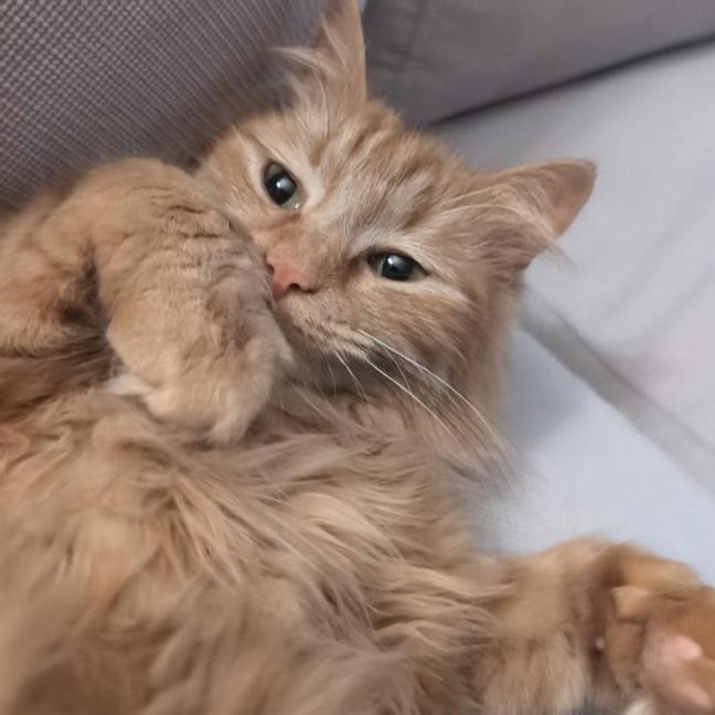 Photo of River & Genevieve