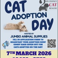 Photo of Connie ** 2nd Chance Cat Rescue **