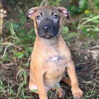 Photo of Rolo