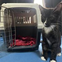 Photo of Felix And Socks