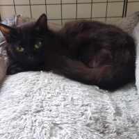 Photo of Thunder And Storm