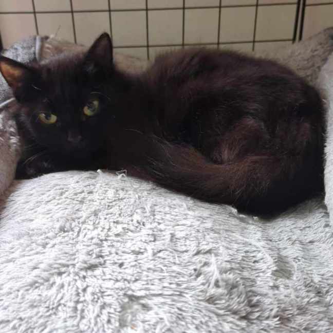 Photo of Thunder And Storm