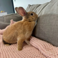 Photo of Sally