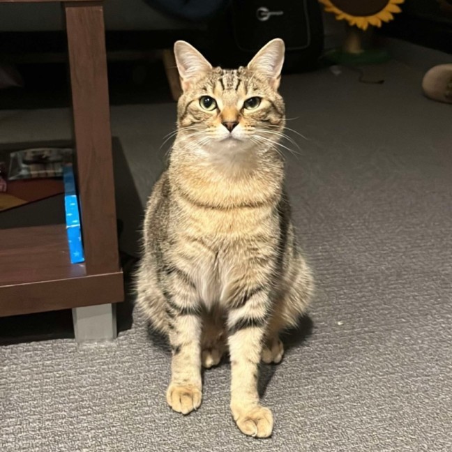 Photo of Barney & Fred