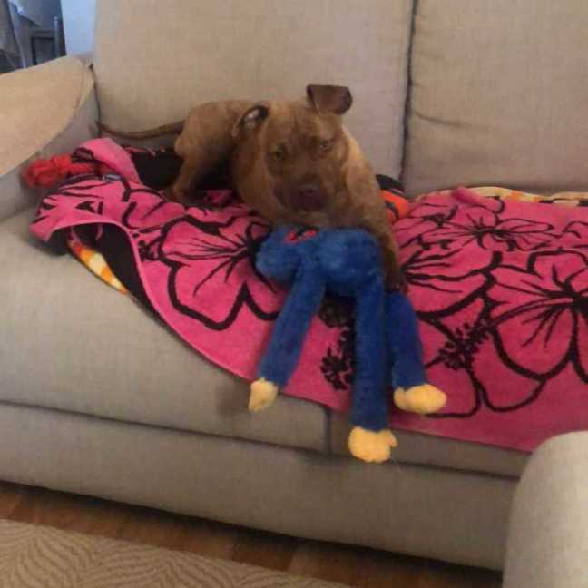 Photo of Milly