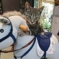 Photo of Tabitha