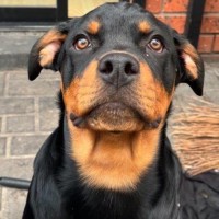 Photo of Lucky Newhaven