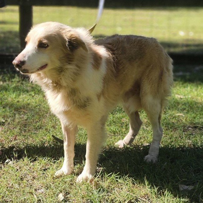 Photo of Jasper