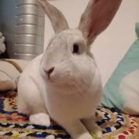 Photo of Adorable Piotr