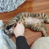 Photo of Willow 🌱