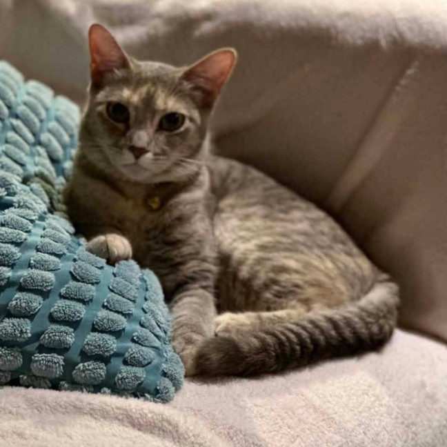 Photo of Peppurr
