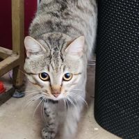 Photo of Tonka