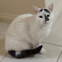 Photo of Daisy