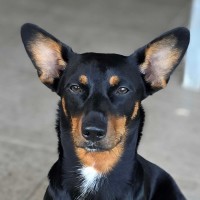 Photo of Coco