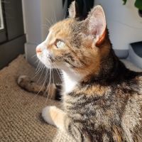 Photo of Simona