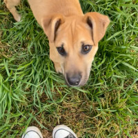 Photo of Grumble