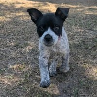 Photo of Evie