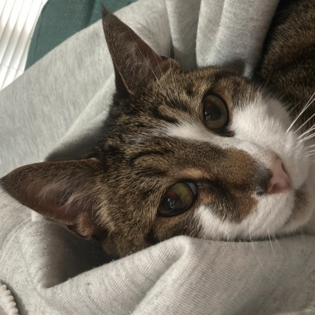 Photo of Jethro