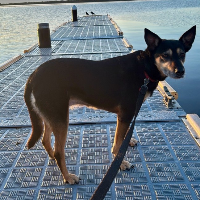 Photo of Delia