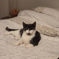 Photo of Davinci