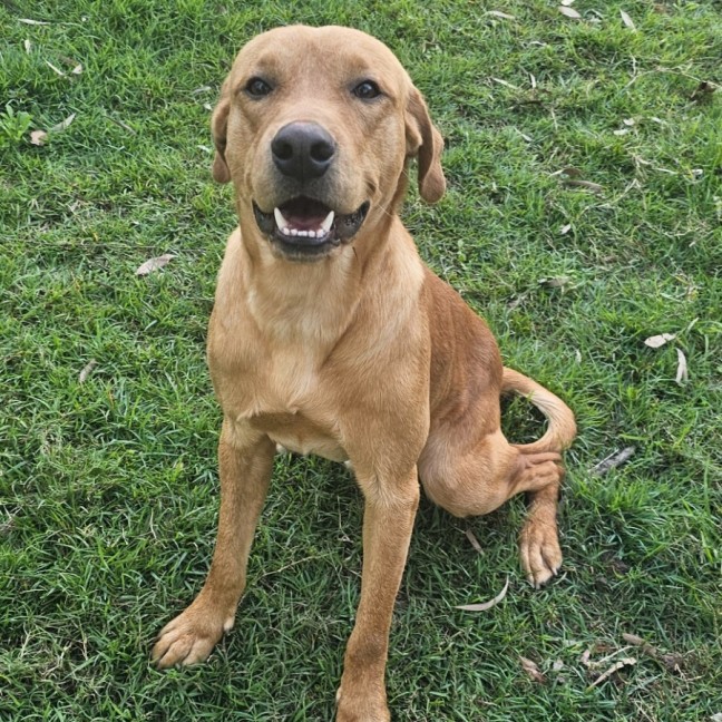 Photo of Hershey