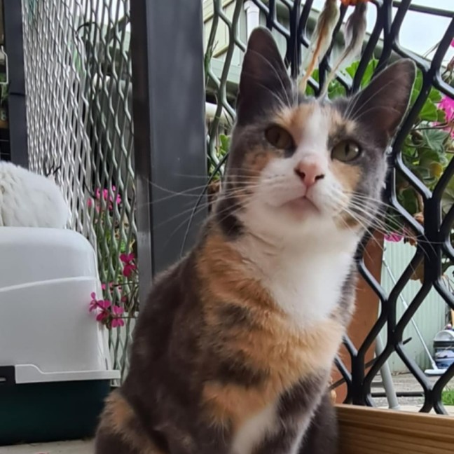 Photo of Romany 🌷🌷🌷