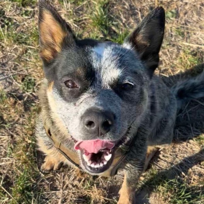 Photo of Hazel