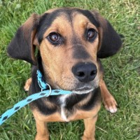 Photo of Edwina