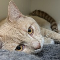 Photo of 🥞 Rupert 5644 🥞